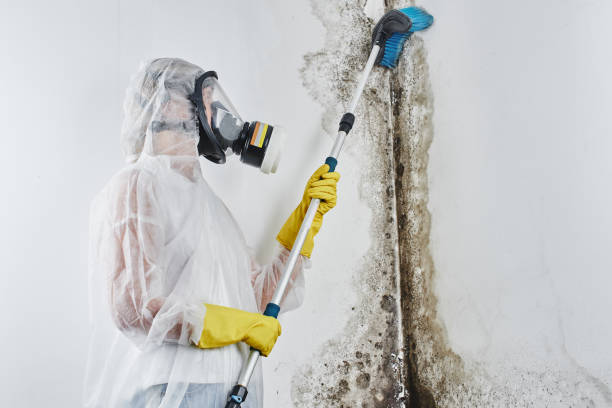 Certified Mold Removal in West Fargo, ND