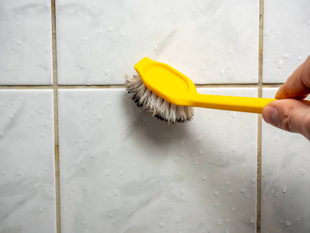 Best Attic Mold Removal  in West Fargo, ND