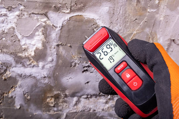 Best Mold Remediation  in West Fargo, ND